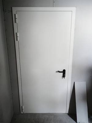 Однопольная дверь в помещении (г. Ногинск)