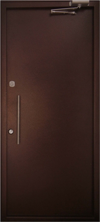 Техническая дверь с ручкой-поручнем и доводчиком (порошок)
