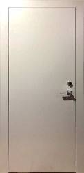Дверь со скрытыми петлями