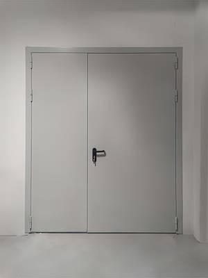 Двупольная дверь Антипаника для «Крокус Экспо»
