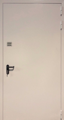 Однопольная глухая противопожарная дверь EI 60 RAL 9016 (с кодовым замком) (16)