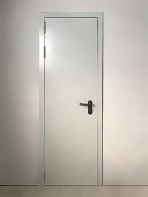 Однопольная дверь нестандартных размеров (ул. Маломосковская, 22)