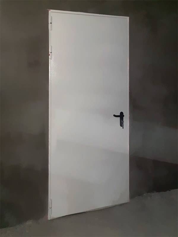 Однопольная дверь (парк Патриот)