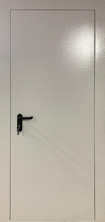Однопольная глухая дверь ei60 (со скрытыми петлями) (31)