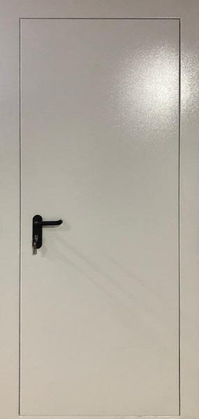 Однопольная противопожарная глухая дверь ei60 (со скрытыми петлями) (31)