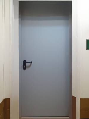 Однопольная глухая дверь (склад НИИ)
