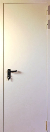 Однопольная нестандартная узкая глухая противопожарная дверь EI 60 RAL 9003 (11)