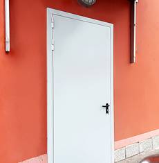 Огнестойкая дверь (вход в офис здания, д. Селёвкино, 195)
