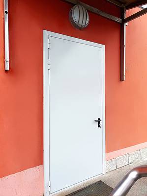 Огнестойкая дверь (вход в офис здания, д. Селёвкино, 195)