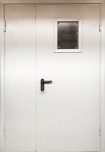 Полуторная техническая остекленная дверь (с армированным стеклом)