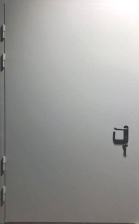 Противопожарная дверь