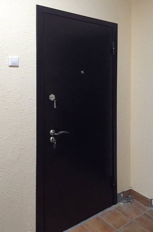 Однопольная техническая дверь Однопольная техническая дверь