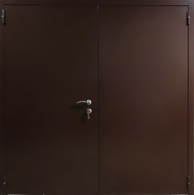 Двупольная техническая дверь (порошок)