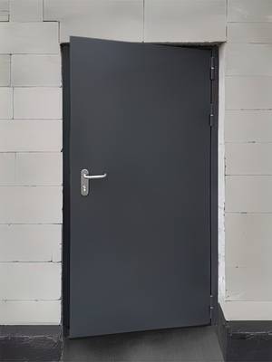 Уличная дверь, фото спереди (ул. Генерала Белова, 26)